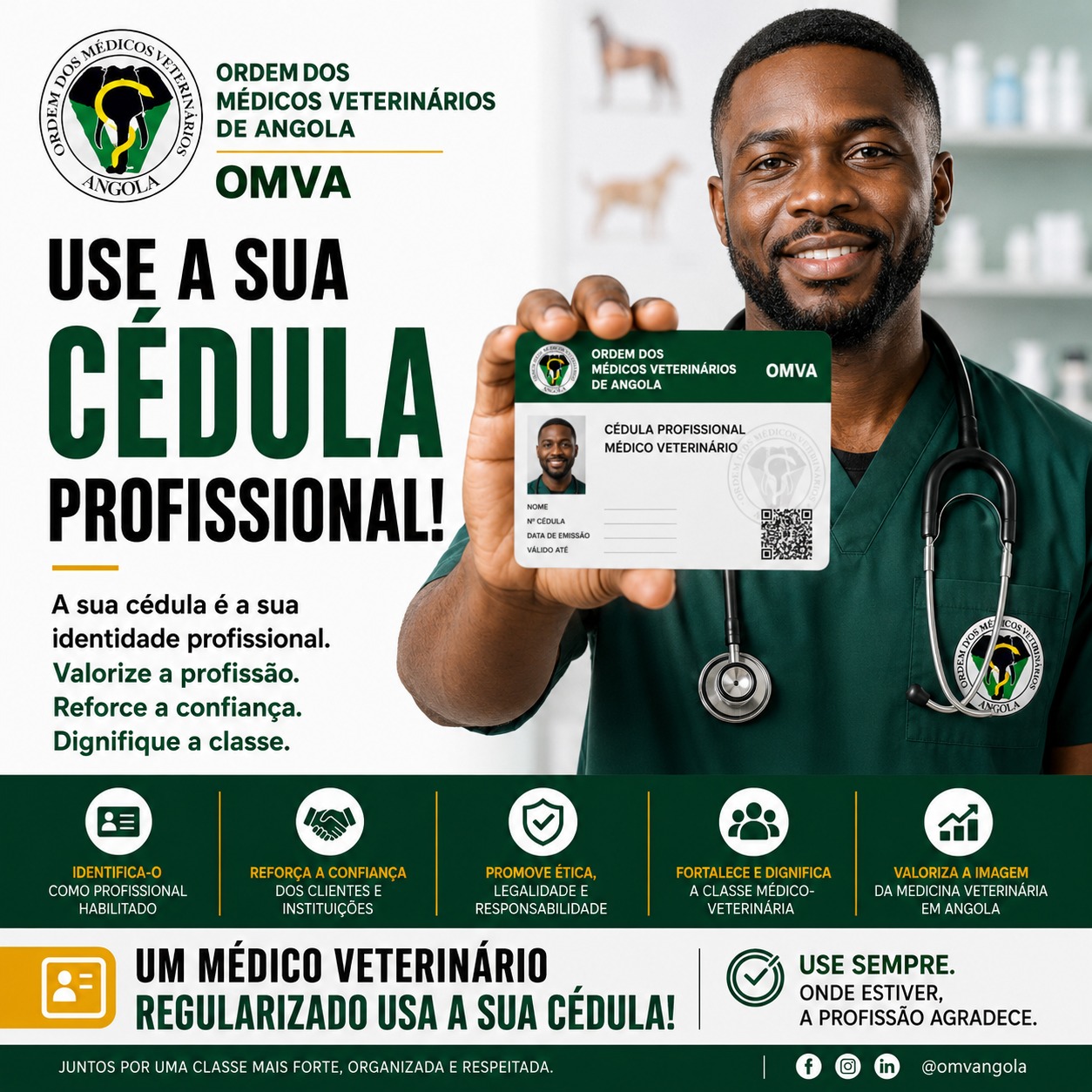 Cédula Profissional