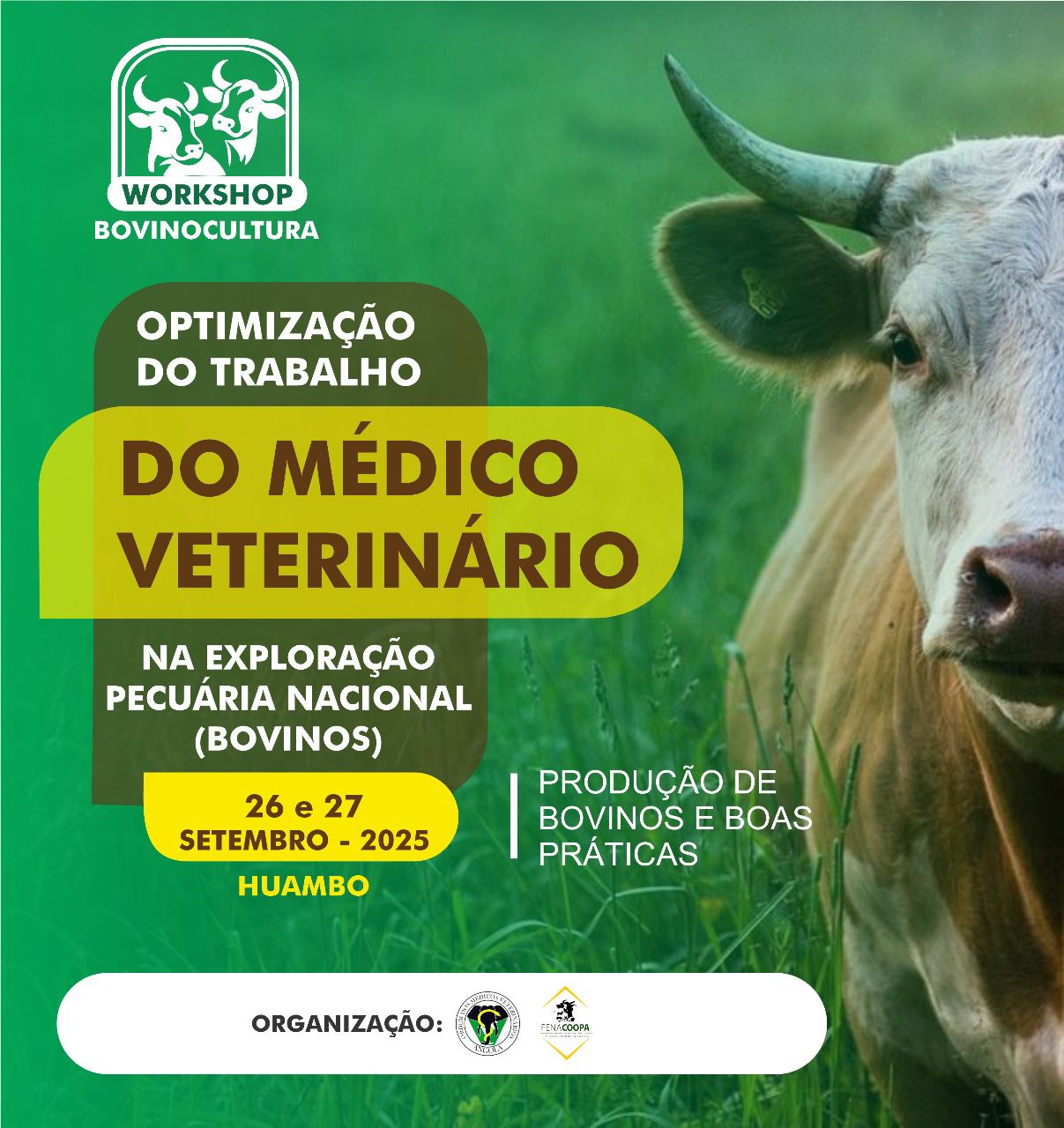 Workshop sobre Bovinocultura – Huambo