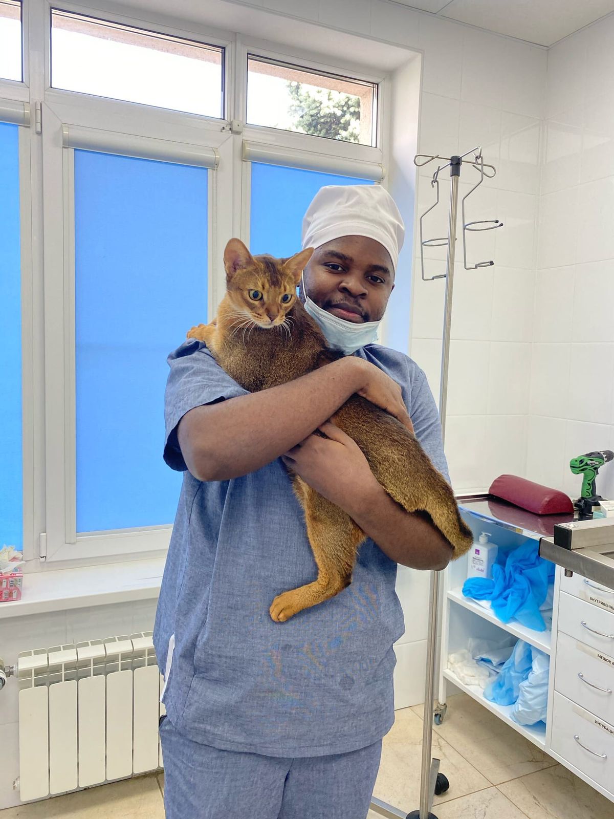 Perfil Médico Veterinário